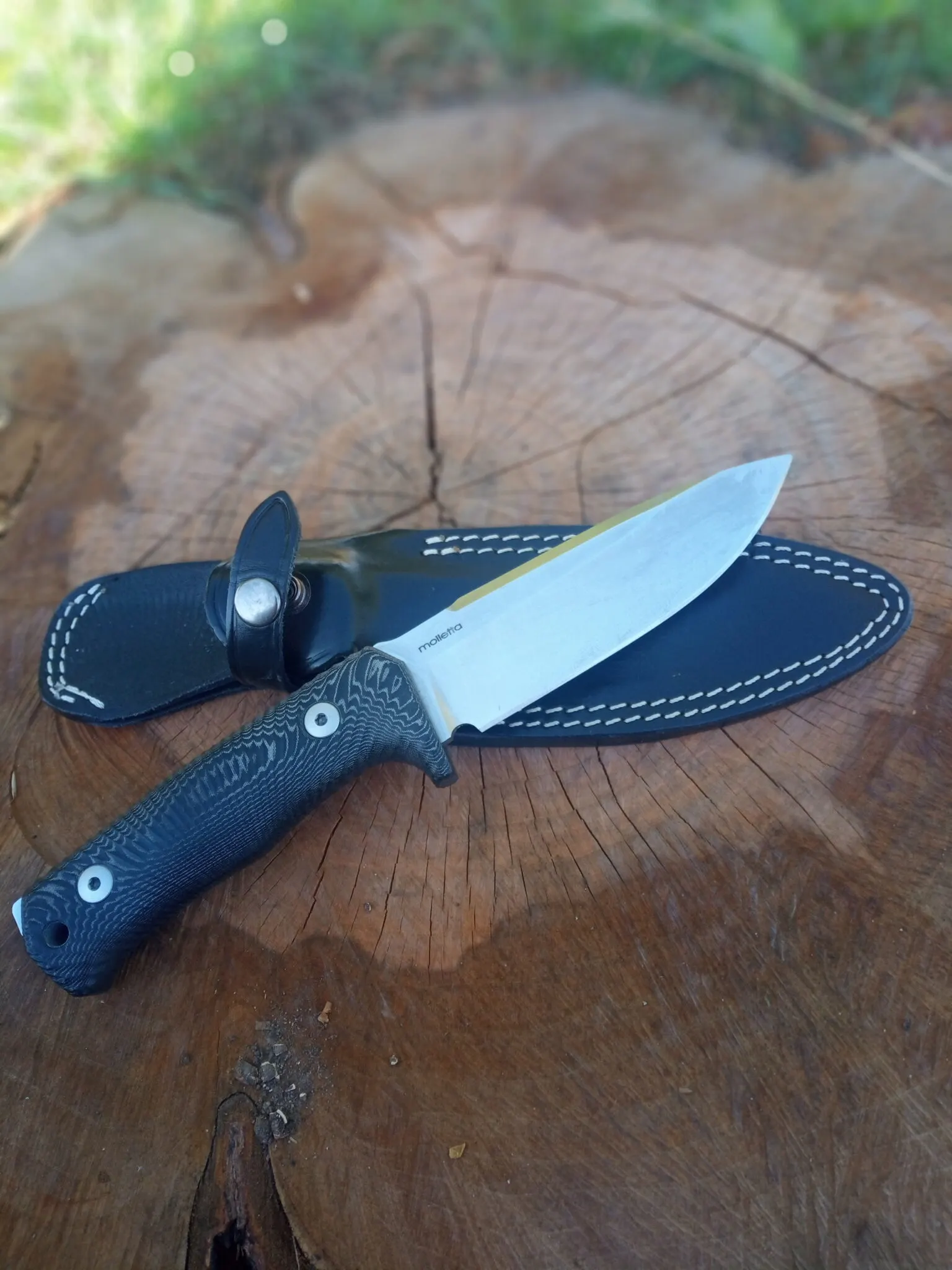 Lionsteel T5 Survivalmesser