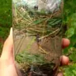 So sieht der fertige Wasserfilter aus einer PET-Flasche aus. Die verschiedenen Schichten sind von fein nach grob gut sichtbar.