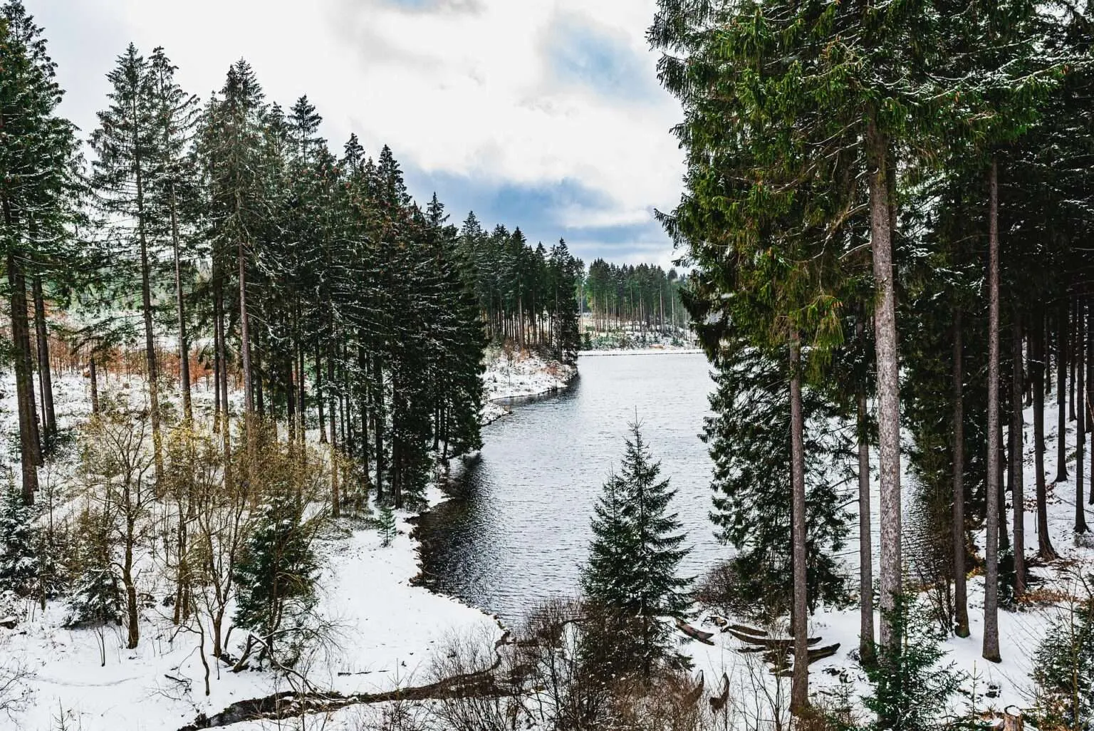 Natürliche Landschaft mit vielen Nadelbäumen und einem Fluss, wo es reichlich Kiefern und damit auch Harzvorkommen gibt.